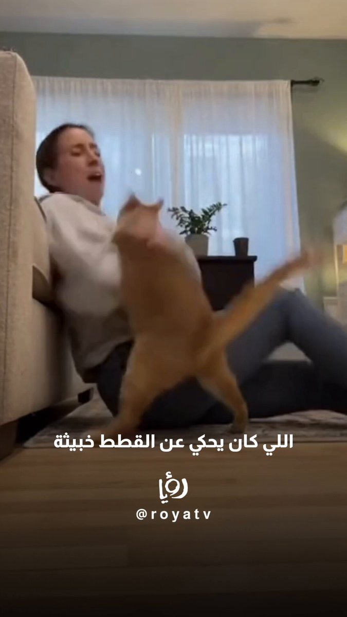 انتبهو انتو كمان من قططكم #رؤيا 