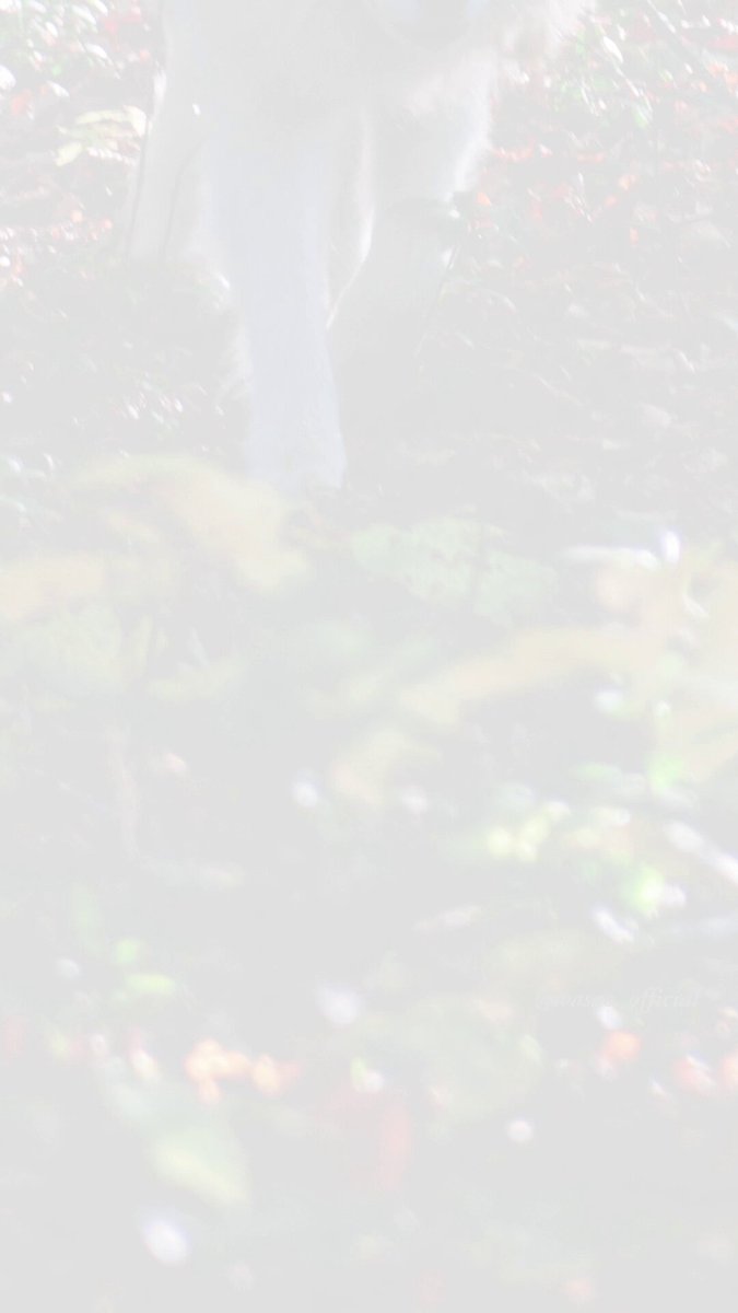 わさお ページ わさお公式 (@WASAO_official) / Posts / X