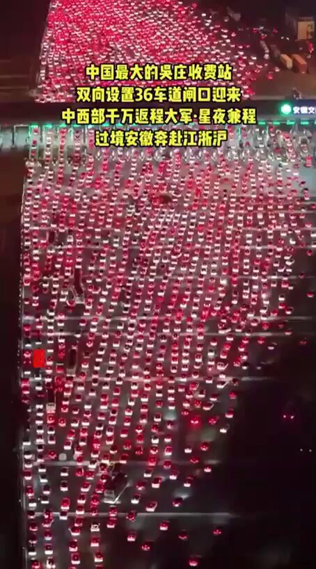 Overcrowded 大混雑 CF sunflower on X