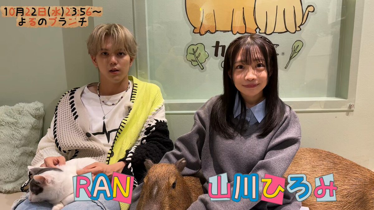 しばりん (@shiba_rin_) / Posts / X