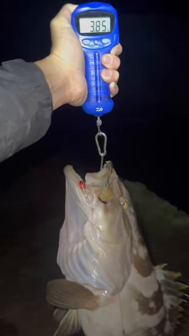 宜しくお願いし鱒 モノクロ (@shirokuro7ch) / X