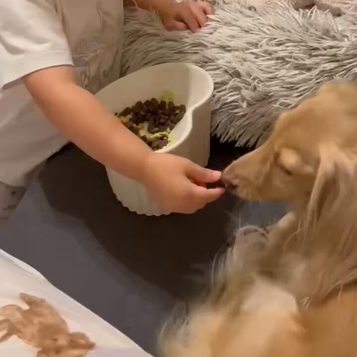 ちゃちゃページ ちゃちゃ on X