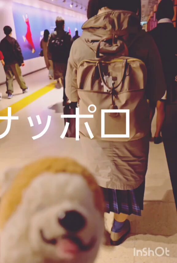 みちみょん🦭☁︎ᴬᴵᴹ (@pancorm) / Posts / X