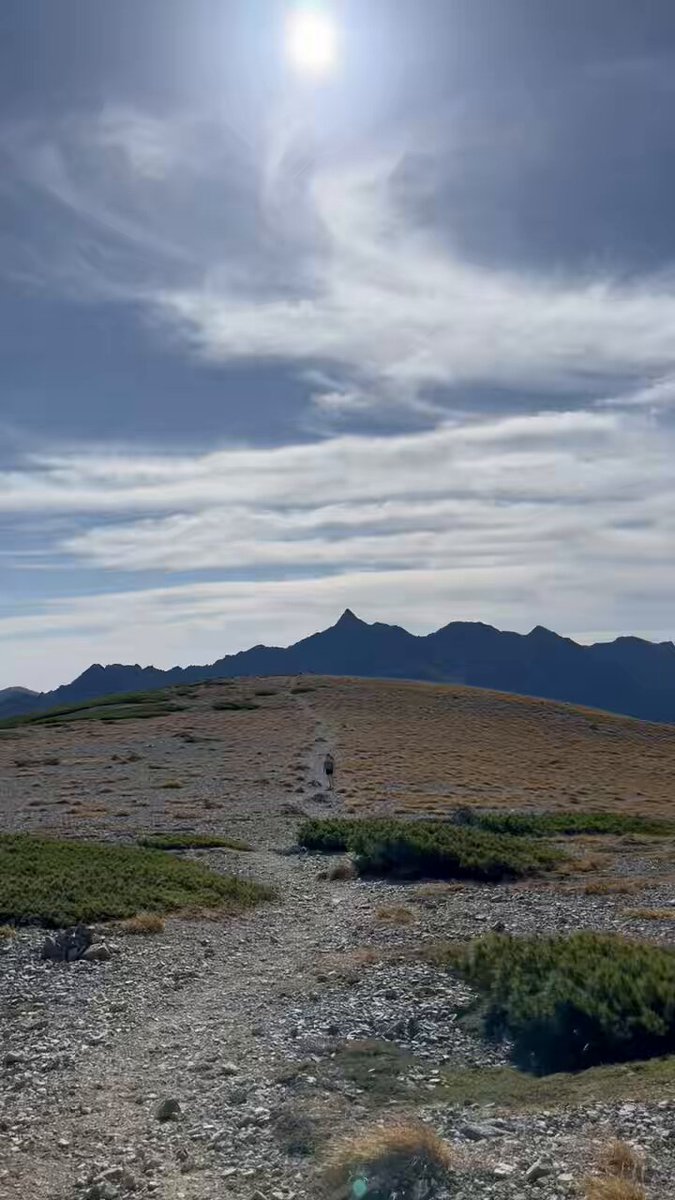 ASA様•*¨*•.¸♬︎専用ページ あさ-Asa (@aaausus00o) / Posts / X