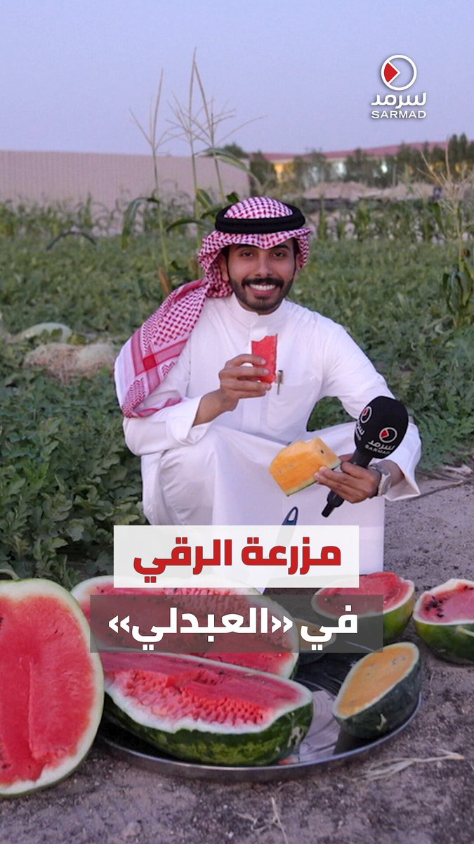 بالفيديو | المُزارع الكويتي مساعد الهيفي ينجح في زراعة أنواع مميزة من «الرقي» في مزرعته ب«العبدلي». الهيفي ل«سرمد»: الزراعة في الكويت مكلفة جداً ونقص المياه أبرز التحديات التي نواجهها. بعد سنوات من التجربة نجحت في زراعة «الرقي» بأوزان تصل إلى 17 كيلوغراماً 