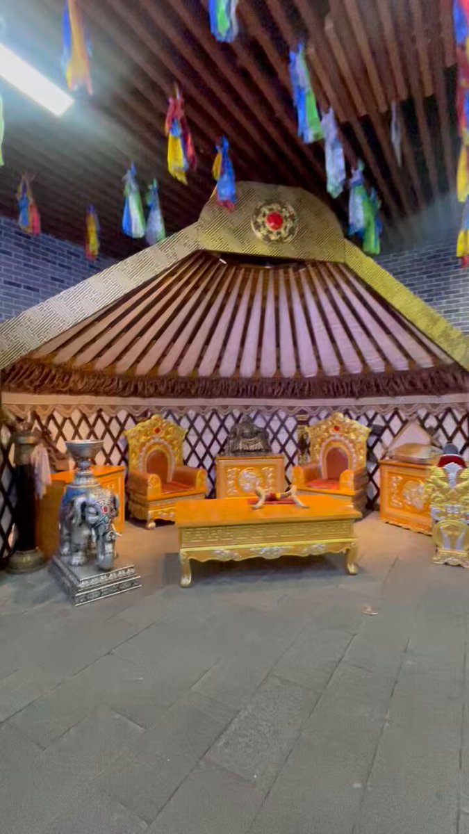 Vaginada video kamera