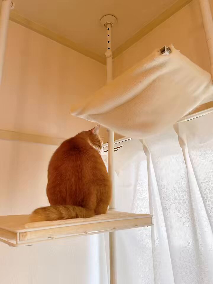 きなここ s-l400.jpg