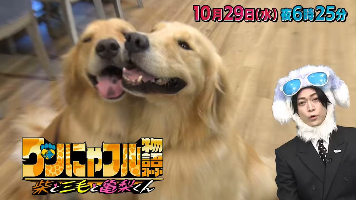 Lulu-ルル🌸 (@memekameg190324) / Posts / X