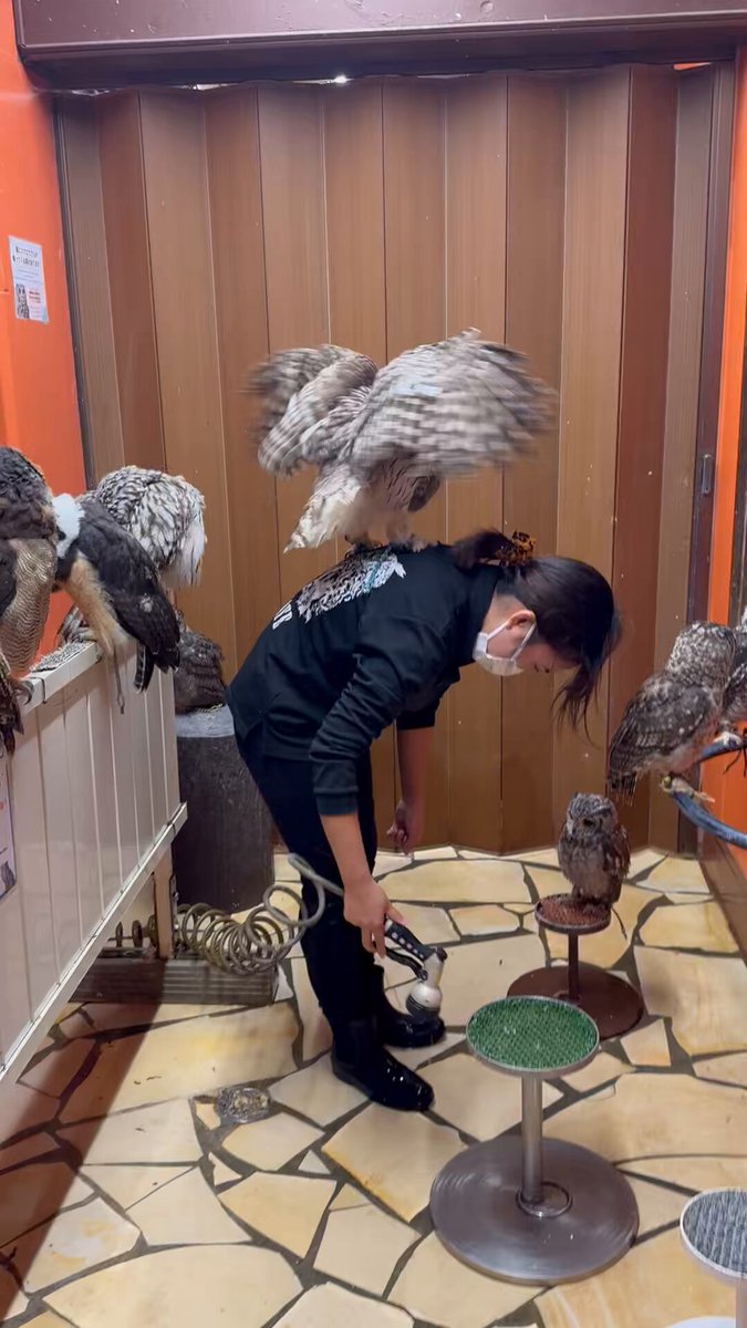 【セール中❣️新品未開封✨2個セット✨メダル付】 全世界100個限定！ゼマイティス・ギターの彫金デザインを投入