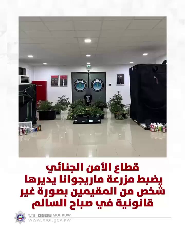 الداخلية: ضبط مزرعة ماريجوانا داخل منزل في صباح السالم يديرها مقيم بصورة غير قانونية - مزودة بأجهزة إنارة وتهوية خاصة لتسريع عملية النمو بهدف الاتجار والتعاطي - ضبط 27 شتلة ماريجوانا و50 غراماً من بذورها.. وكيلو غرام من المادة المخدرة 