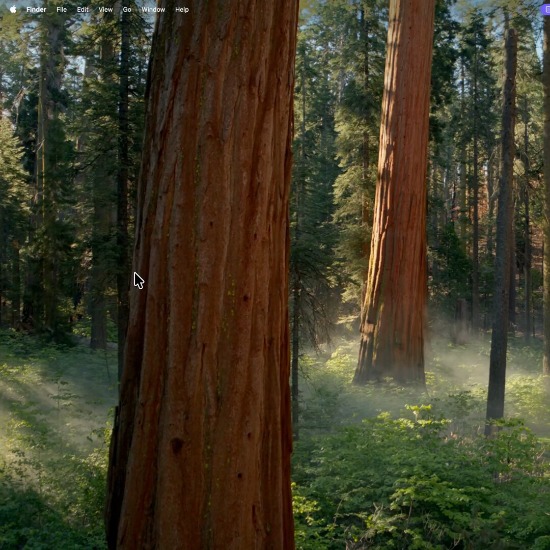 coming soon to a computer user near you🖱️ https://t.co/Xb9fJzPzBE