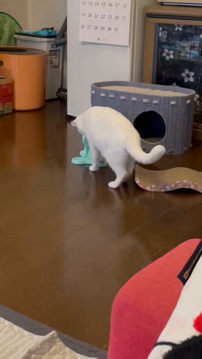 絶版!貴重！✴️100%ORANGE ✴️ CLASS MATES ✴️コレクター品✴️ コービン レッド系ミラーレンズ サングラス【KORBIN/HiPER®レンズ