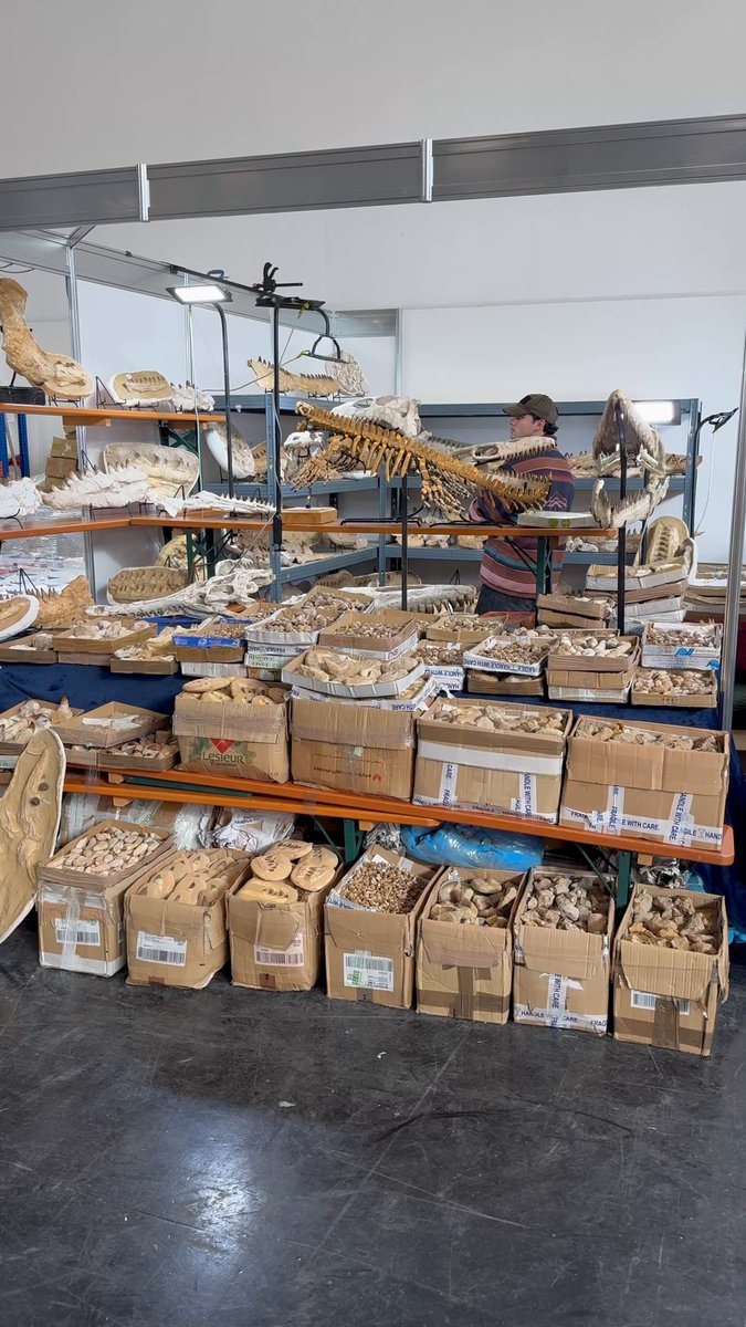 1093cue（Tatsuya Tokuno） (@1093cue) / Posts / X