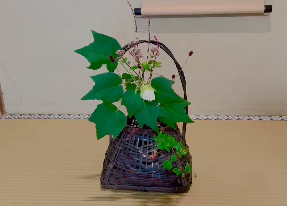 美品 掛け軸 江戸千家 川上宗雪作 名心庵「雲ノ峯」共箱 茶掛け 美品