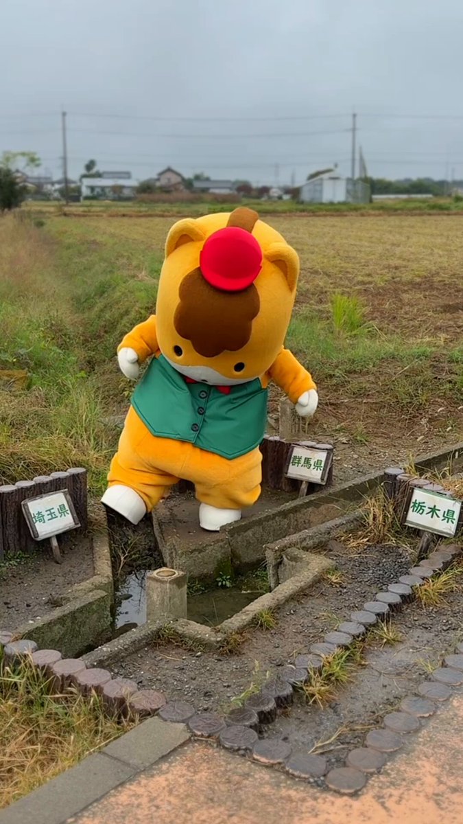 まーくん (@mrkn_momomako) / Posts / X