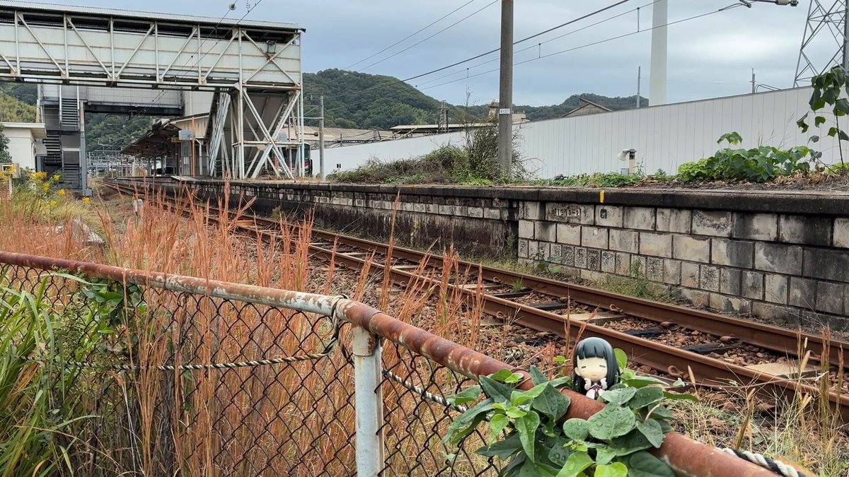 LALAです LALAです⭐︎ Photos by rafa (lala) (@lala.zx) · October 1, 2024