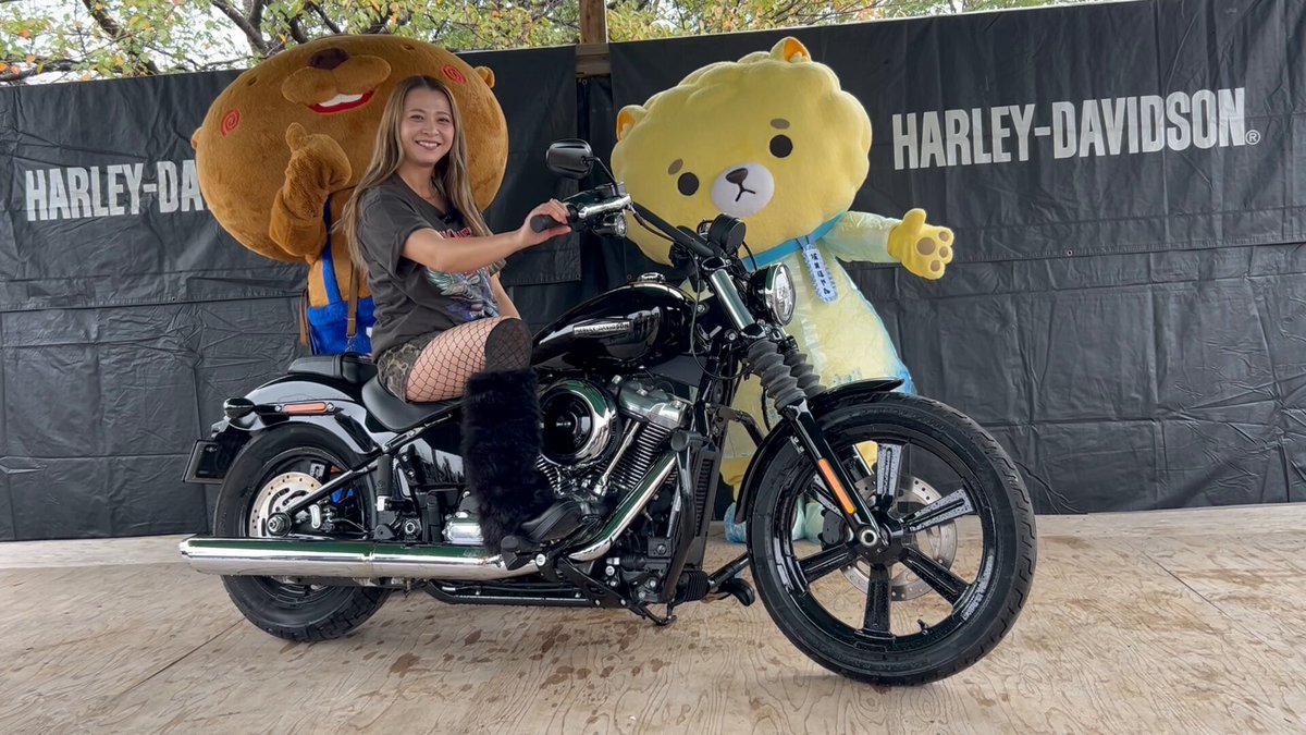 ハーレーダビッドソン・カスタム・ハウラー ウィズ・ハーレー