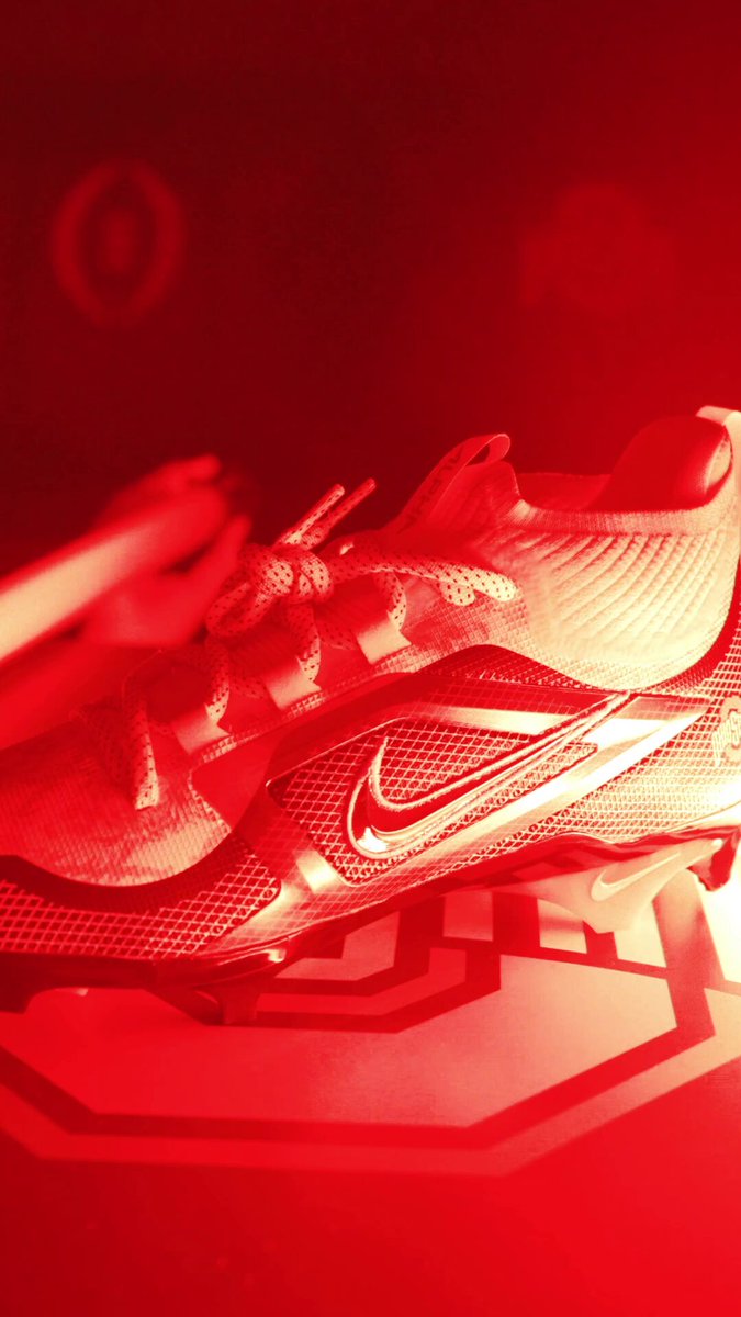 Ohio State x Lebron James オハイオ州立大とレブロンジェームスの