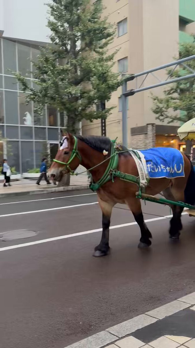 リーリィ (@lil_i04) / Posts / X