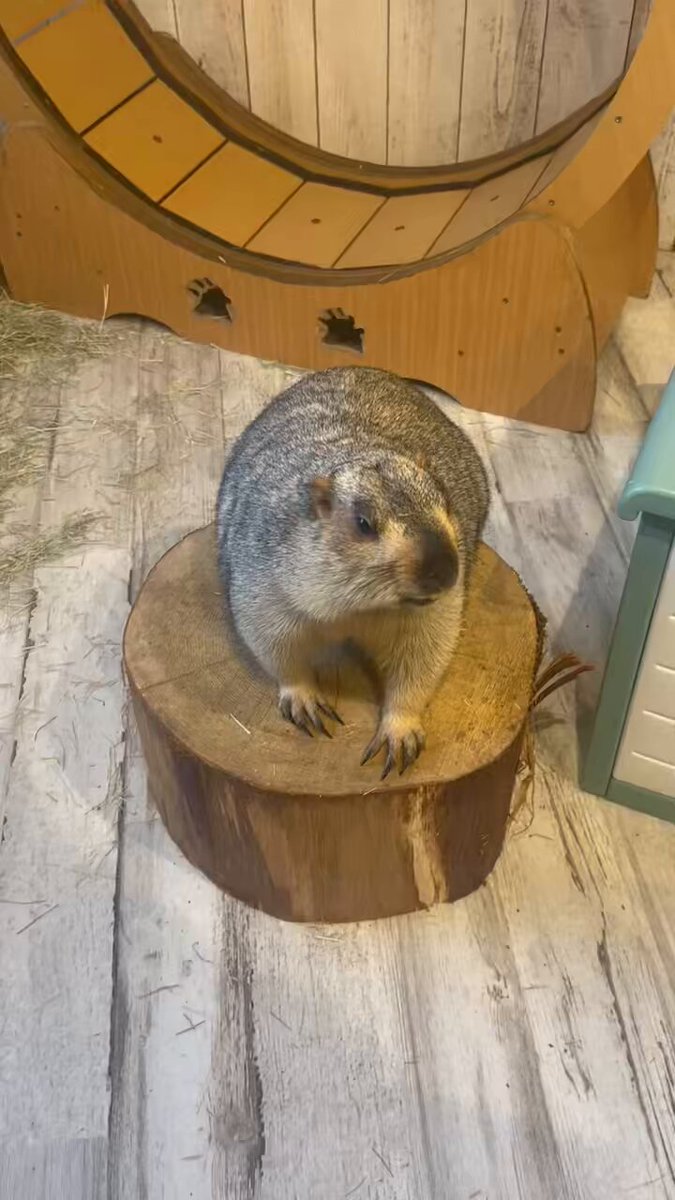 rさま確認ページ♡ 本人確認書類について | 楽天証券