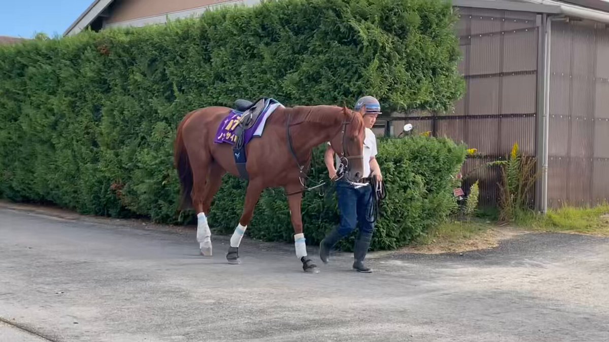 ダノンデサイル