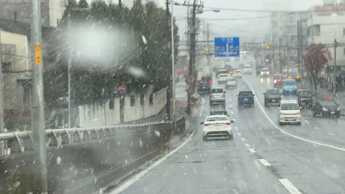 北海道平野部で10月異例の大雪 初雪確認と暴風雪警報発令