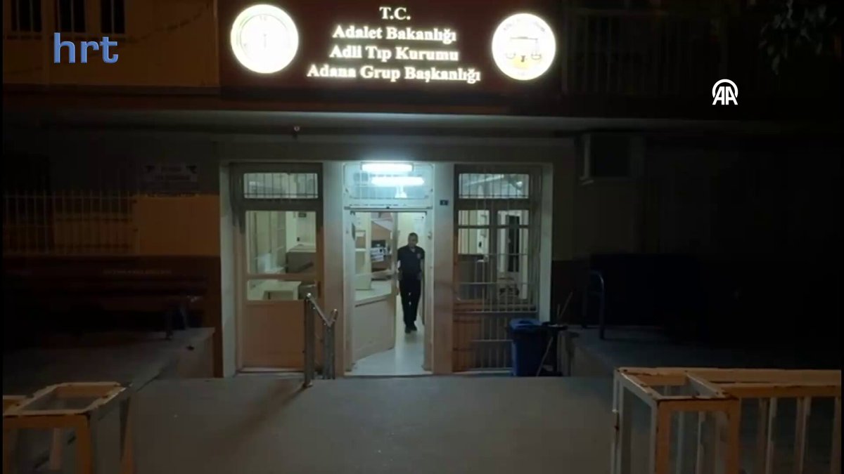 Qadimgi Misr porno film