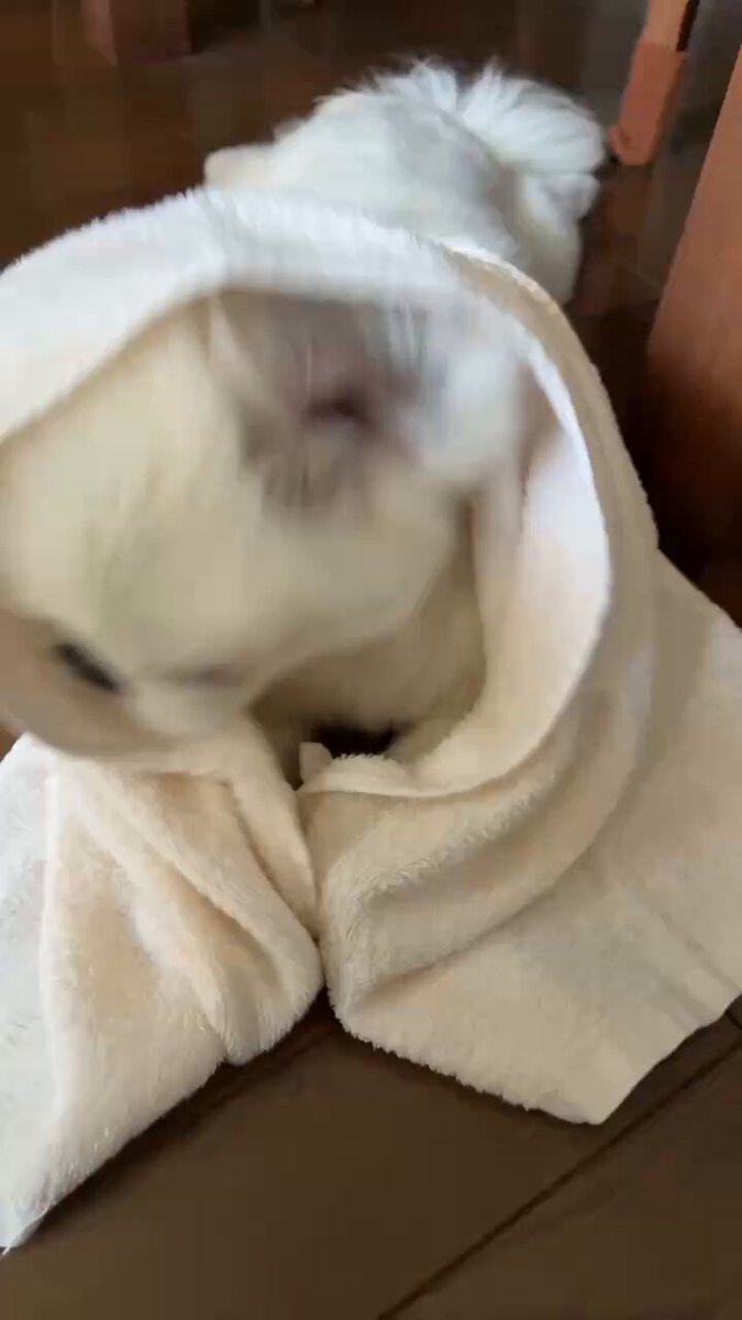 E3%83%8E%E3%83%BC%E3%82%AB%E3%83%83%E3%83%88