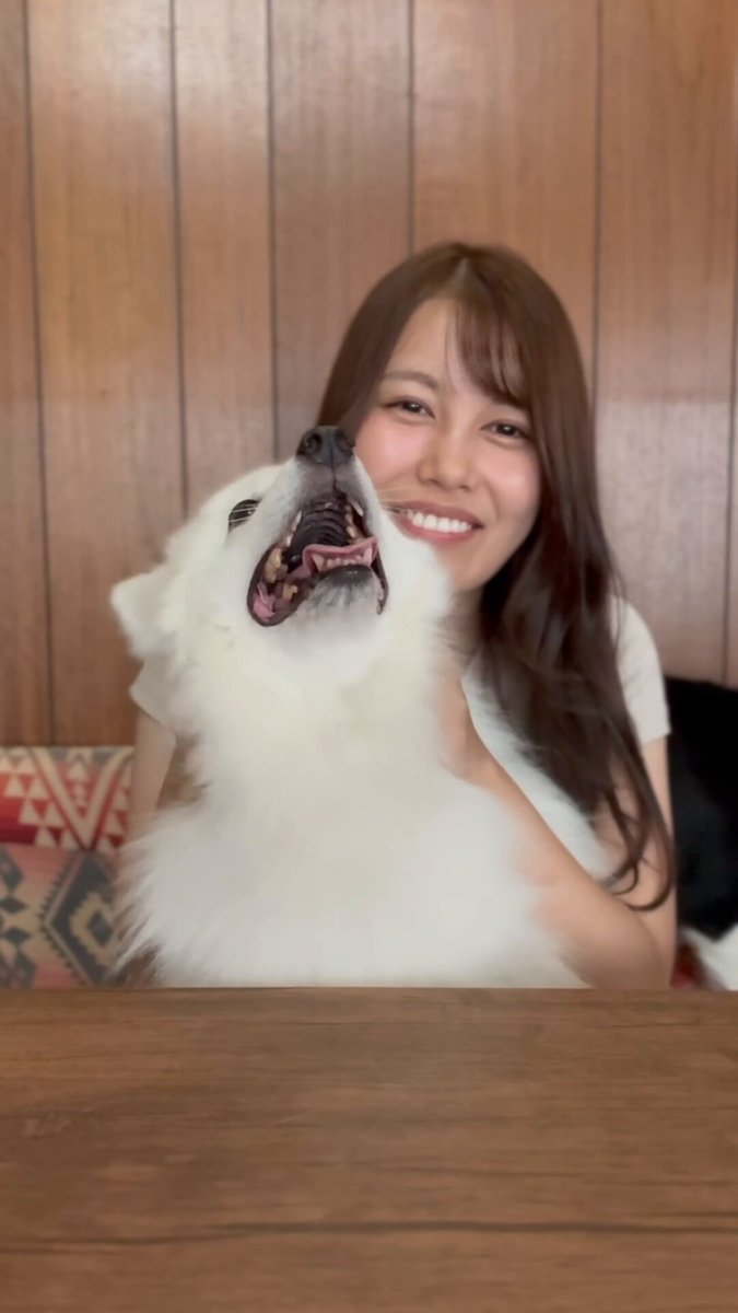 ぽぽ  Yuki Tsunoda レッドブル 角田裕毅 トレーディングカード Yuki Tsunoda