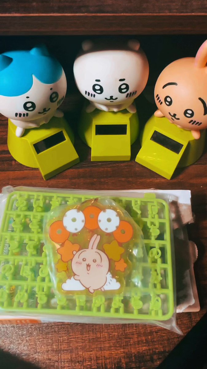 ミュージシャン Citrine CITRINE - Live on Sonic Seedpod - Rock