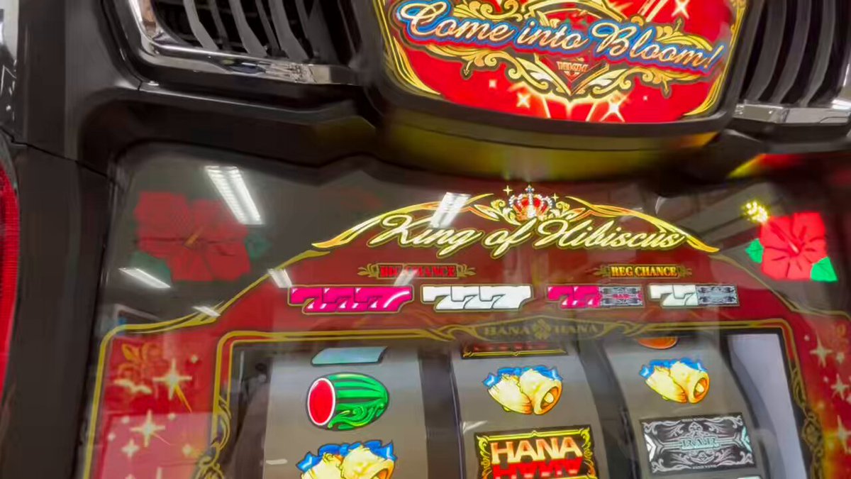 ハナハナ様♡おまとめ ハナハナ - Search / X