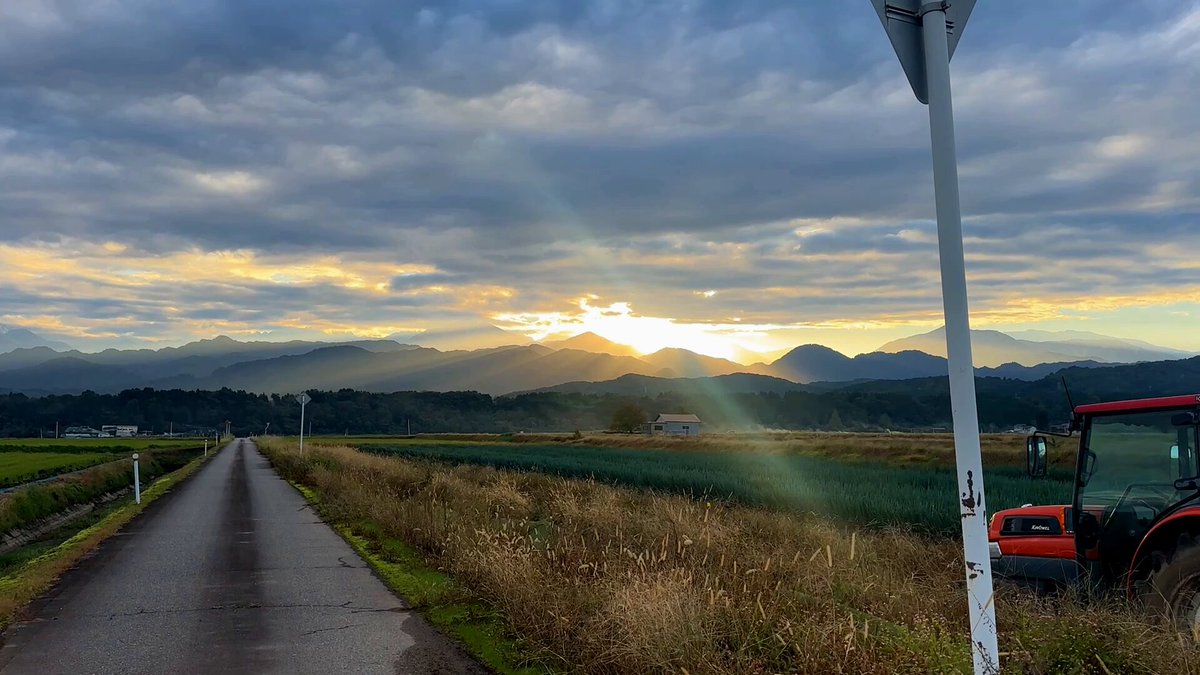 田んぼ - Search / X