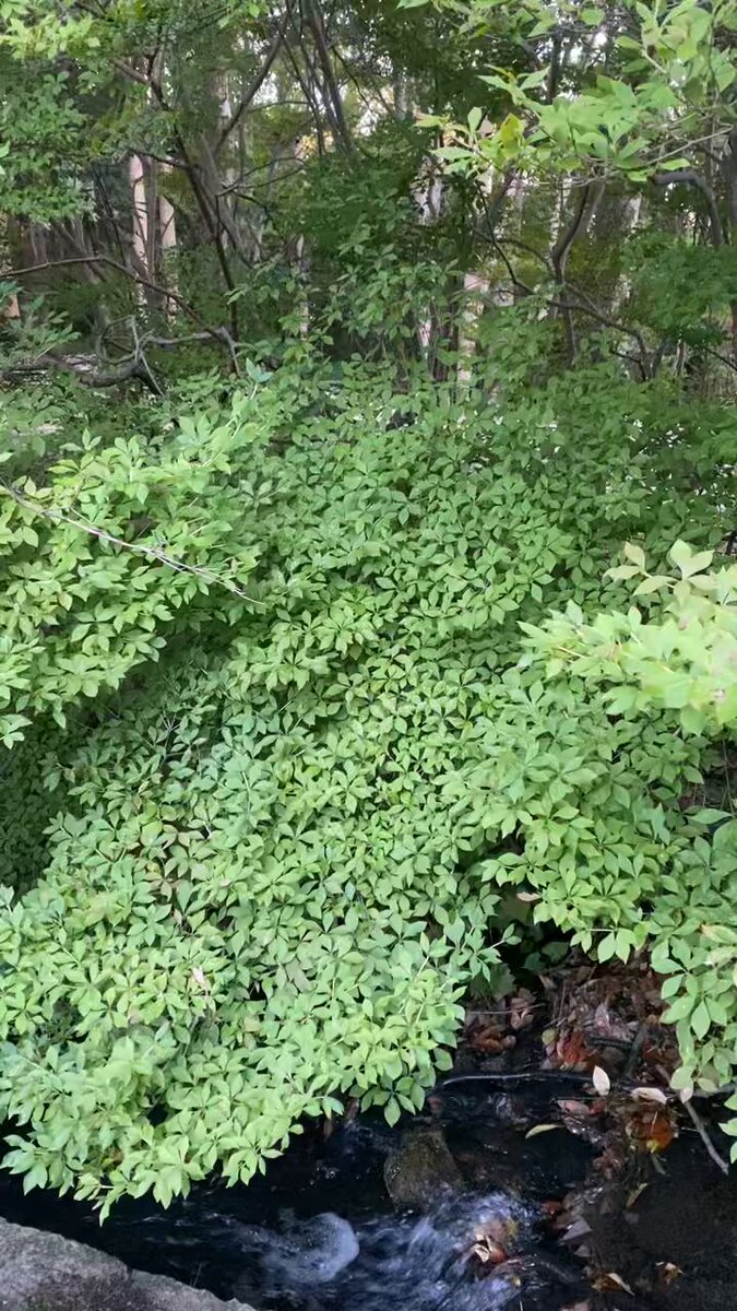 鐵馬オヤジ 東機PF on X