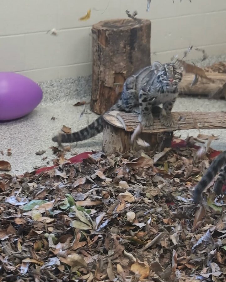 うに様へ♥4/23 うに。 on X