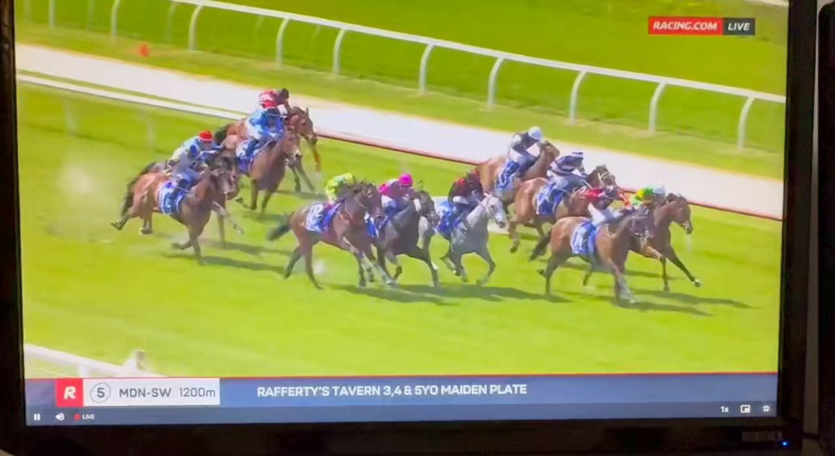 ぱんだ　07、39A、53、59、67、78 ぱんだ 07、39A、53、59、67、78 ぱんだ 07、39A、53、59、67