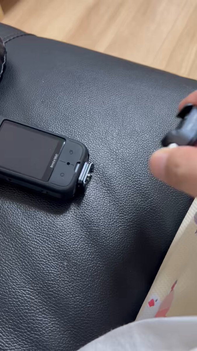 白文鳥のコッコ on X