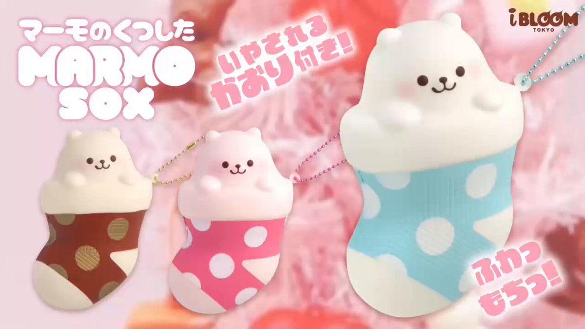マルモ様 おまとめ マーモのくつしたが 11/7(金)に発売するよ🧦 くつしたの中に入った