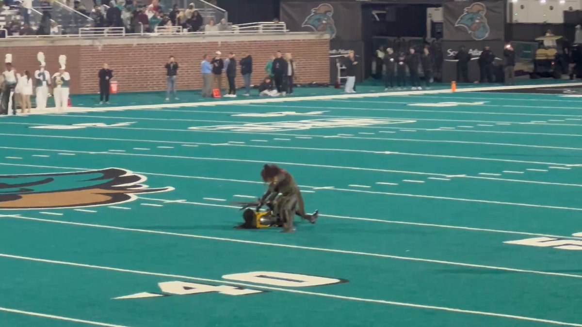 Video thumbnail Video thumbnail