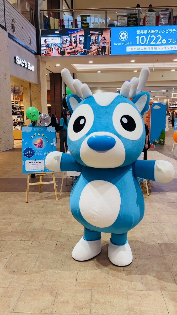 Wolt キャンペーン ミニボール Wolt キャンペーン ミニボール Wolt キャンペーン ミニボール