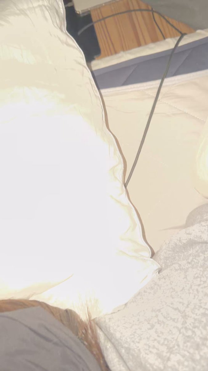 Video by @hamepaco22