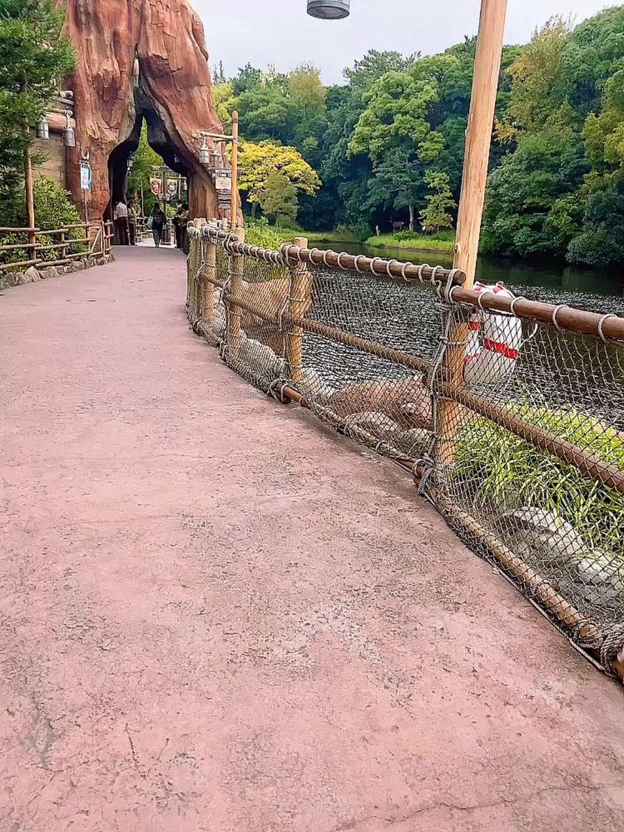 世界まるごとありがとな🌏ゆん (@yun0808) / Posts / X