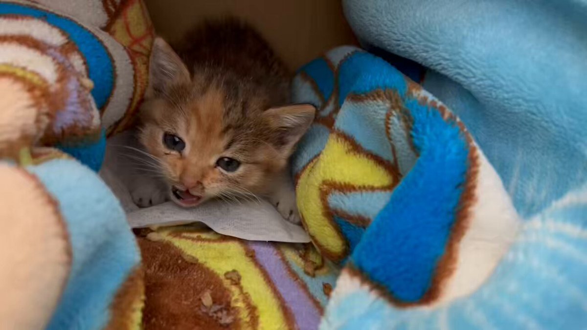 ゆんゆん☺︎ on X