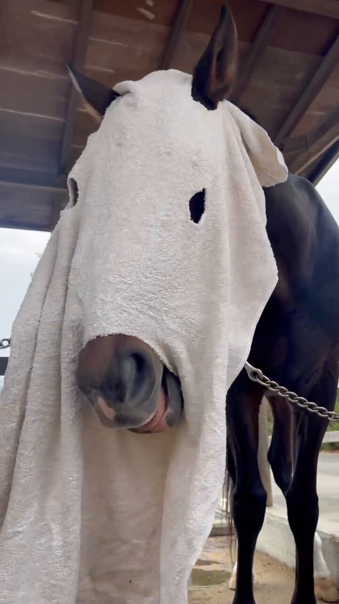 ⭐︎加奈⭐︎ カンナ (@kanna214) / Posts / X