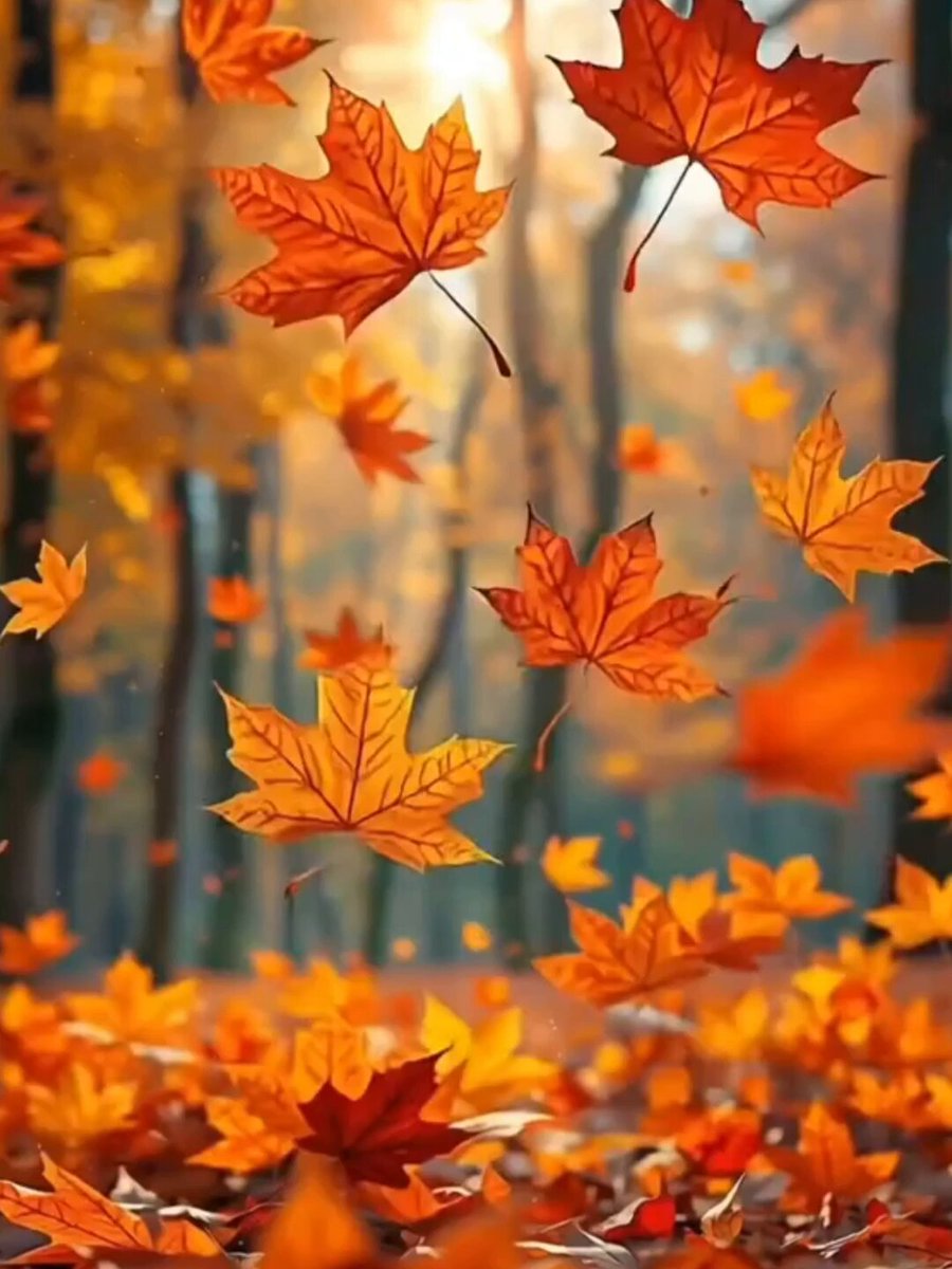 Nature Lovers Community on X - 6.3K Members