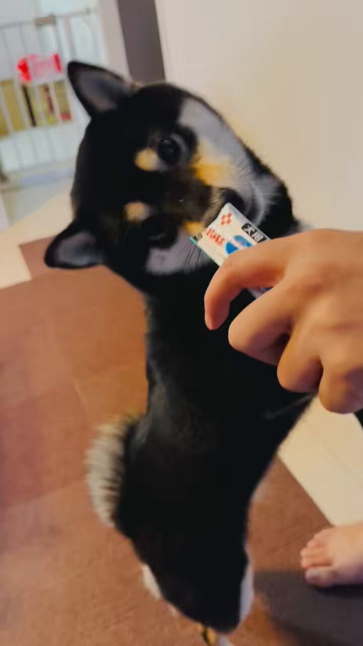 ソラくん❤ご確認ページ。 🖤そら🎧 #男子中学生ミスターコン (@sora070724) / Posts / X