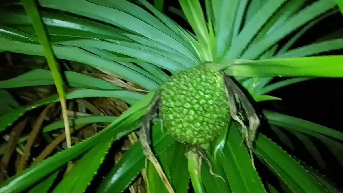 も～り～♪ on X