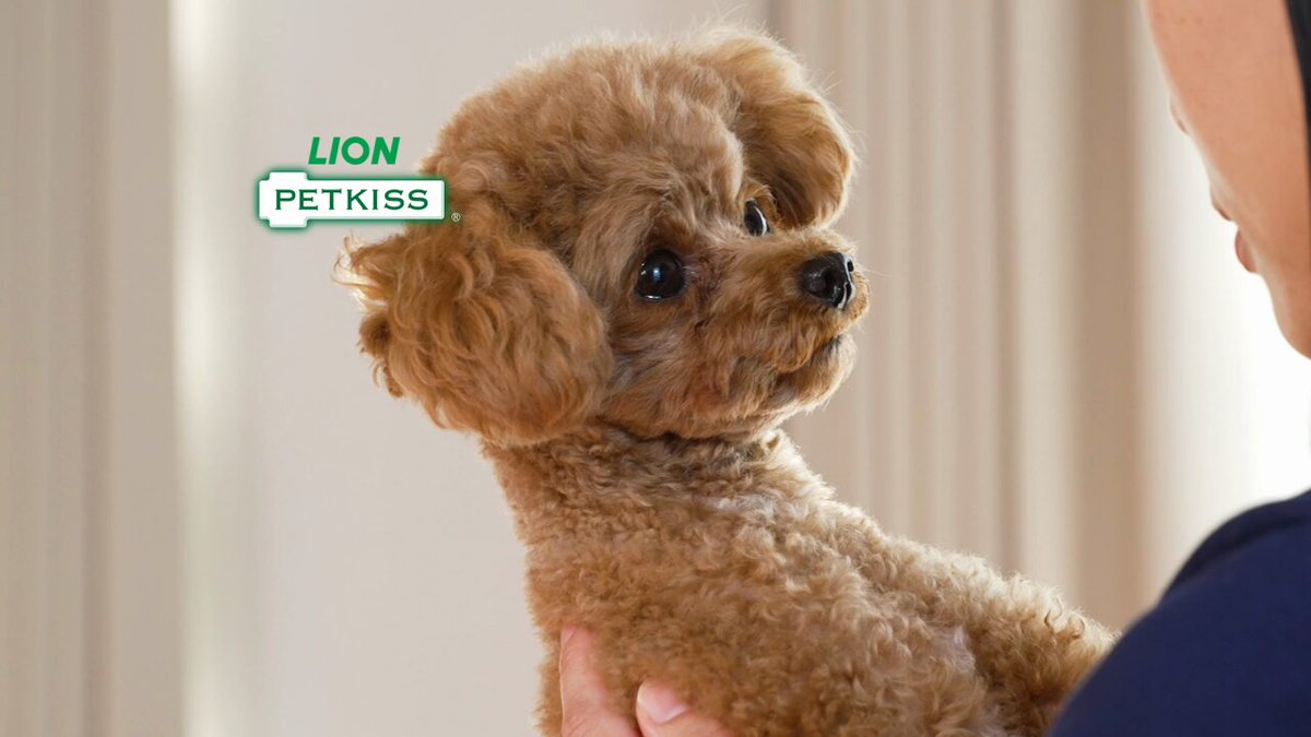 ライオン株式会社/LION (@LION_corporate) / Posts / X