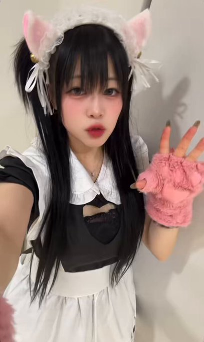 黒猫メイド魔法カフェ　ドン・キホーテ広島八丁堀店のツイート