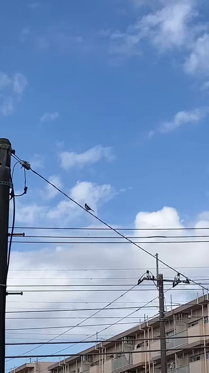 彦爺 Genuine ISP Brand Zx200-3 Zx270-3 Excavator Engine Parts