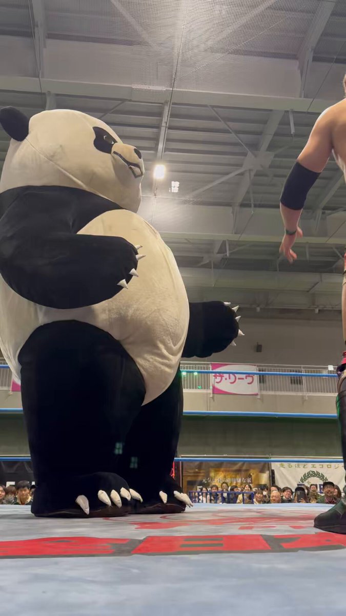 本日午後6時まで、きょんたろうさま専用 しろう on X